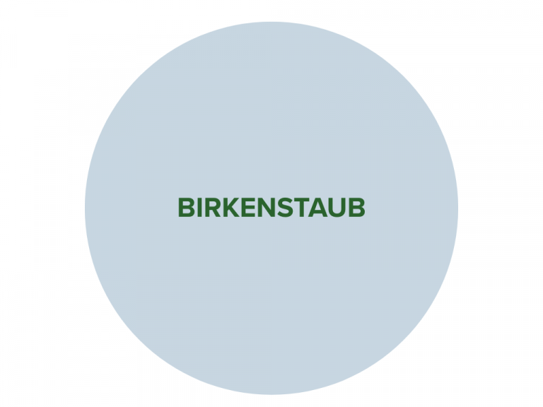 Hellblauer Kreis mit dunkelgrünem Schriftzug "Birkenstaub".