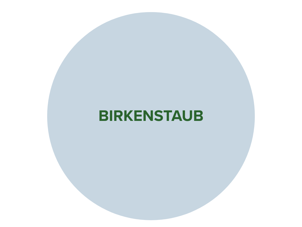 Hellblauer Kreis mit dunkelgrünem Schriftzug "Birkenstaub".