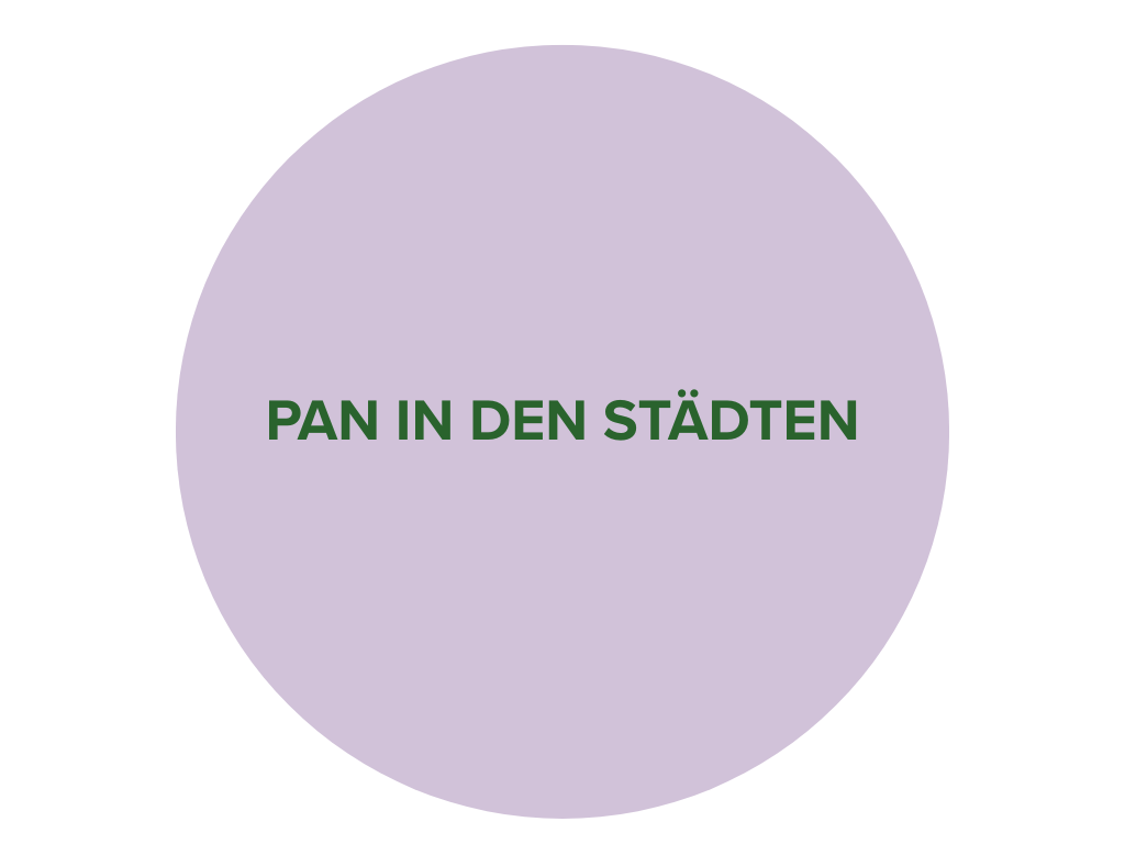 Lila Kreis mit dunkelgrünem Schriftzug "Pan in den Städten".