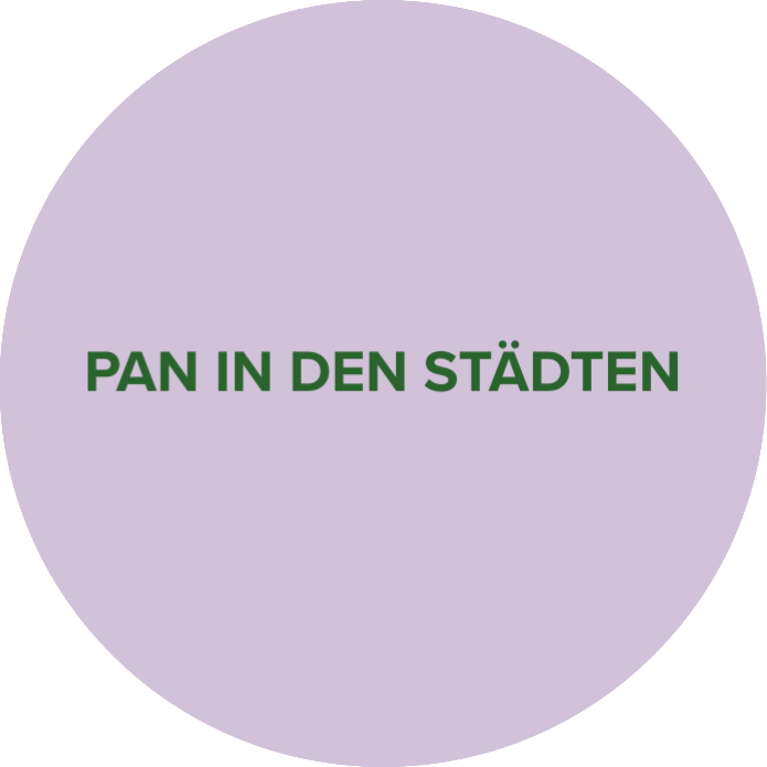 Lila Kreis mit dunkelgrünem Schriftzug "Pan in den Städten".